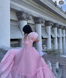 Vintage Pink A-line Prom Dress,Elegant Princess Dresses